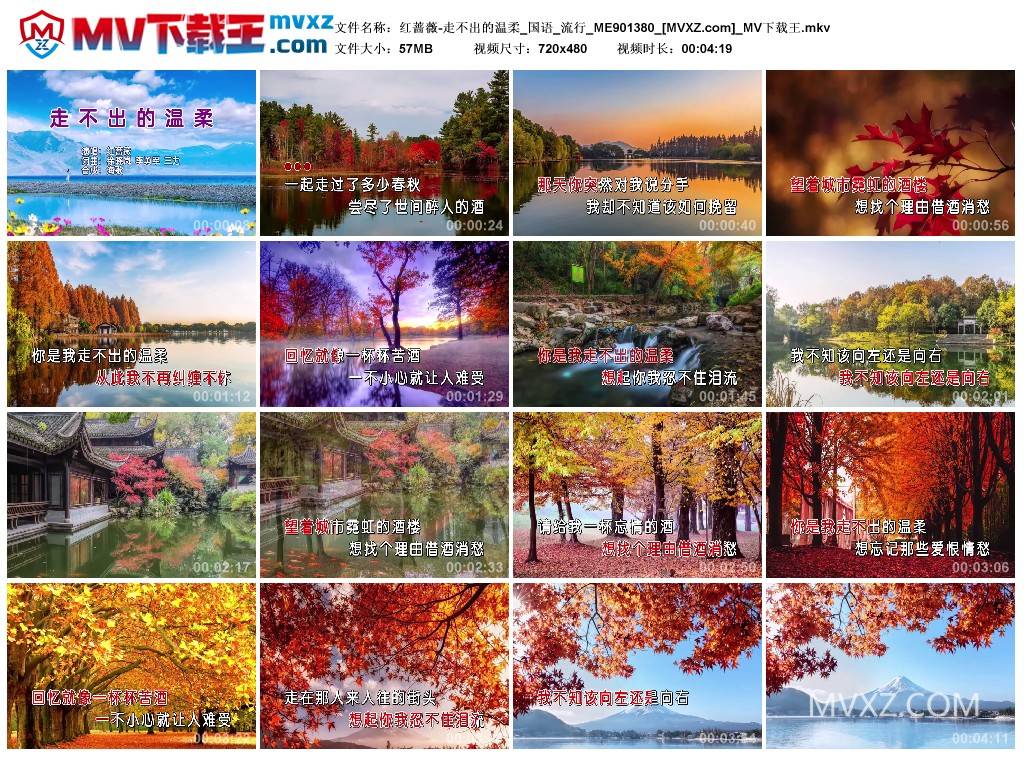 红蔷薇-走不出的温柔_国语_流行_ME901380